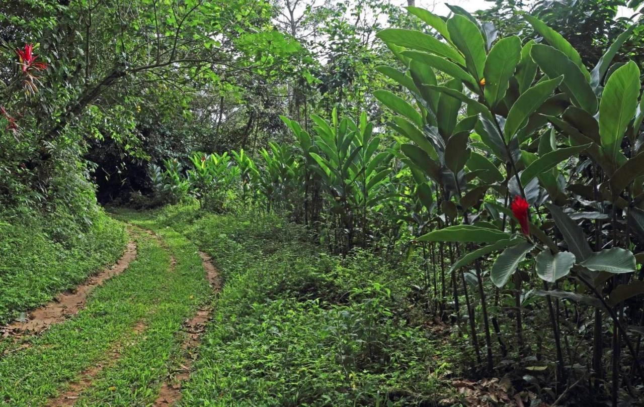 Argovia Finca Resort Tapachula Exterior foto